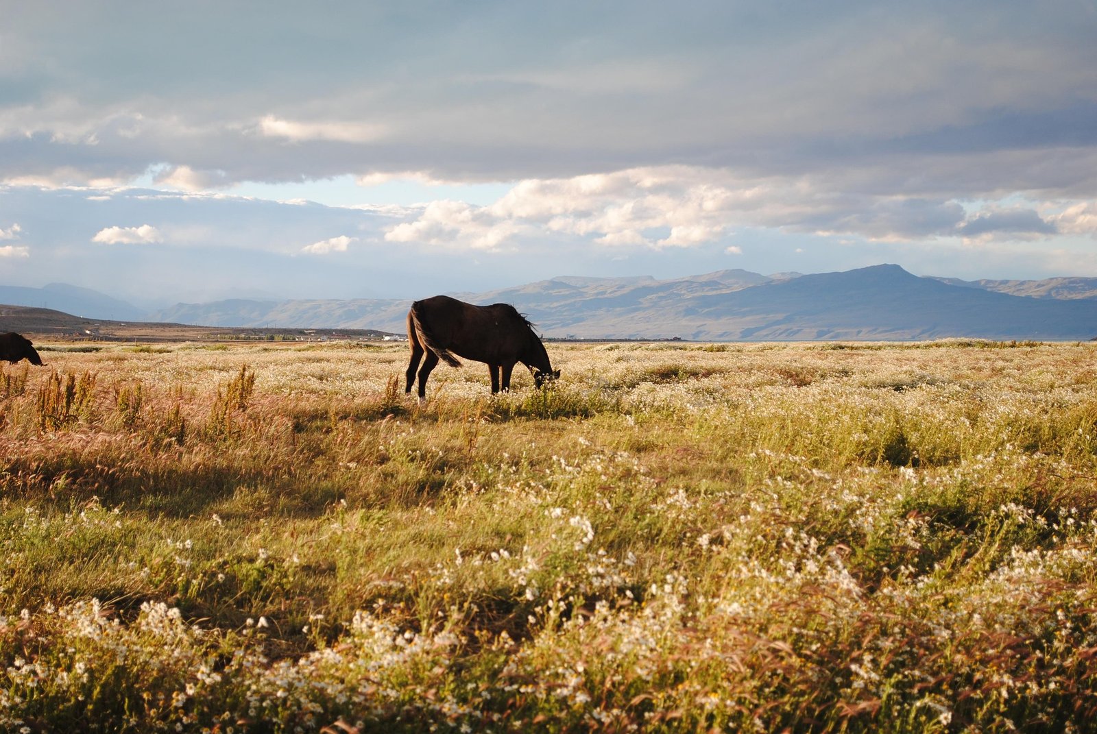 Estancia patagónica en Santa Cruz